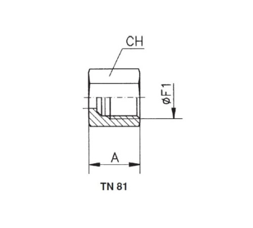 Накидные гайки TN81 и врезные кольца TN88 в Лиде